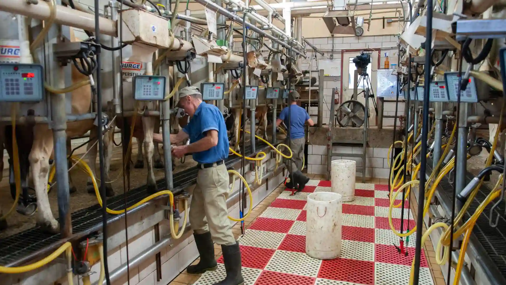 Tratamiento de efluentes con alta carga orgánica en industria láctea