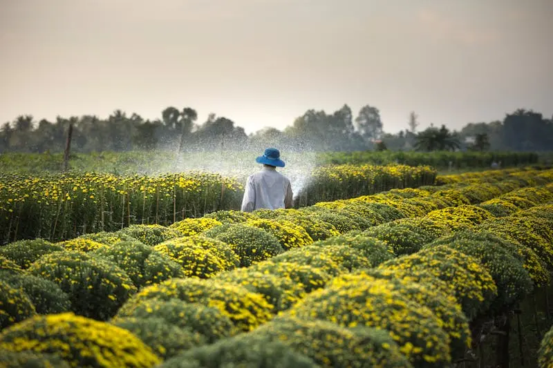 Agroindustria